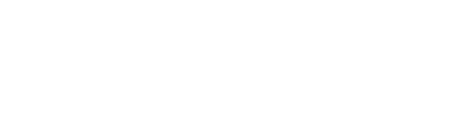 FLASHID